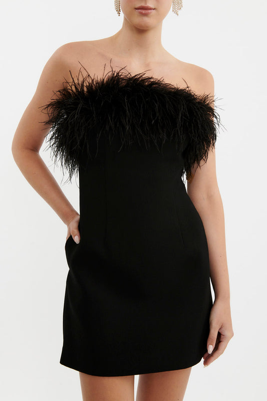 After Hours Feather Mini Dress