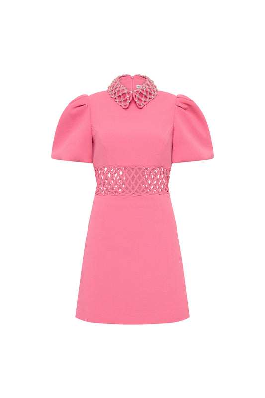 Aubree Collar Mini Dress