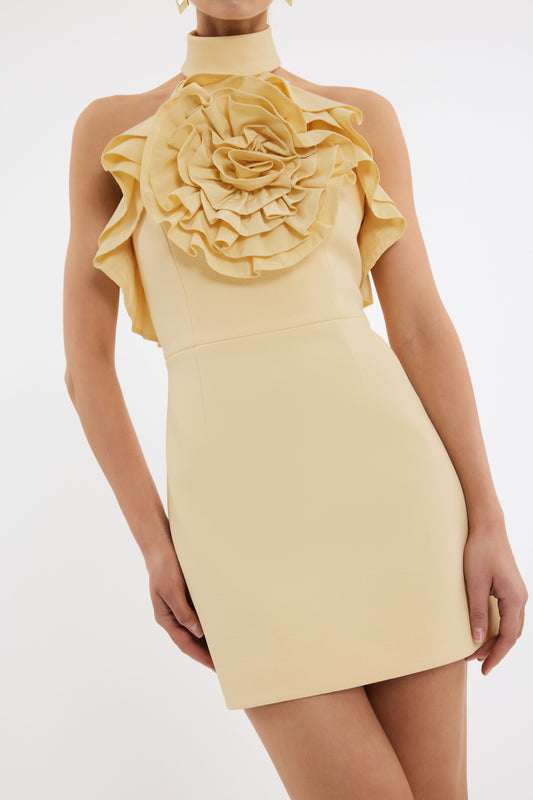 AUBRIELLA+MINI_2504-1367_YELP_FEATURE+1_updated_1