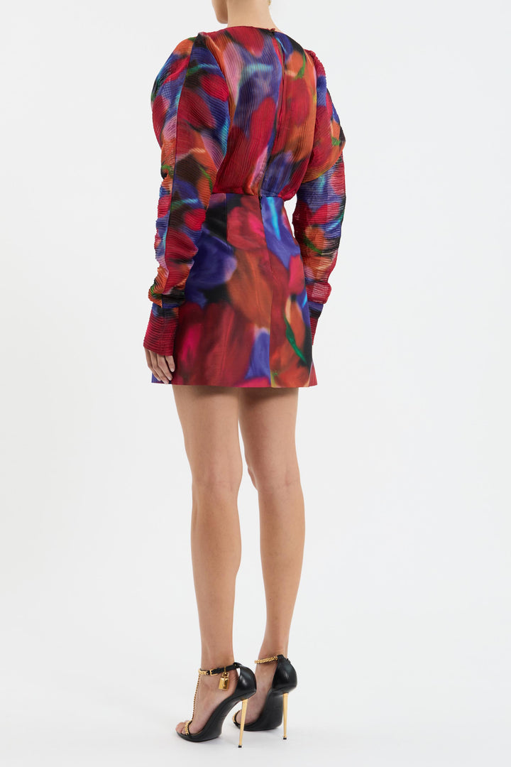 Cabaret Roses Mini Dress