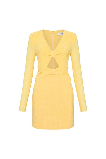 Lumiere Long Sleeve Mini Dress