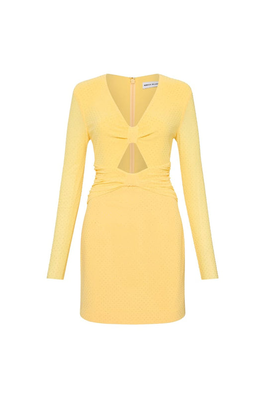 Lumiere Long Sleeve Mini Dress