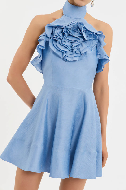 PASTEQUE+MINI_2504-1314_BLUP_FEATURE+1_1