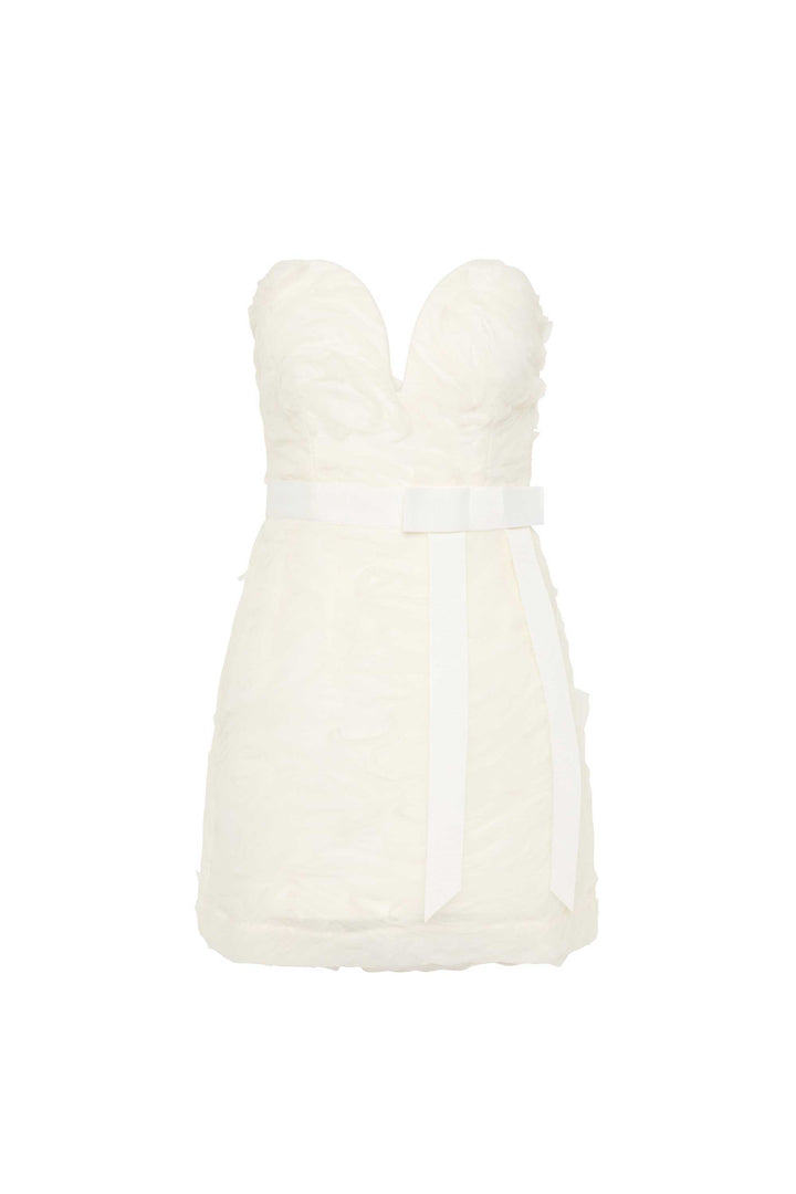 Willow Mini Dress